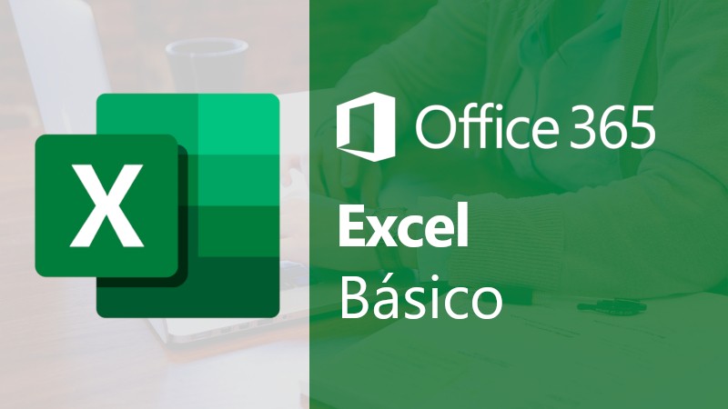 MS Excel 365, nivel básico